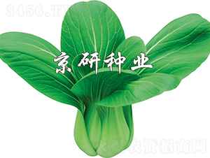 ����3̖-�Ͳ˷N��-���зN�I(y��)