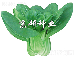 ����3̖-�Ͳ˷N��-���зN�I(y��)