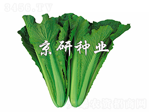 �G��2̖-�ײ˷N��-���зN�I(y��)