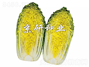 ������2̖-�ײ˷N��-���зN�I(y��)