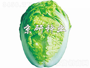 ����2̖-�ײ˷N��-���зN�I(y��)