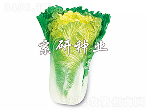 С�s56̖-�ײ˷N��-���зN�I(y��)