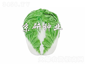 ����602-�ײ˷N��-���зN�I(y��)