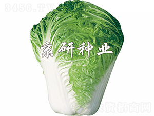 С�s61̖-�ײ˷N��-���зN�I(y��)