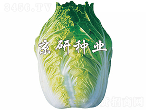 ����68̖-�ײ˷N��-���зN�I(y��)