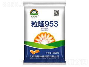 ��¡953-���׷N��-����¡