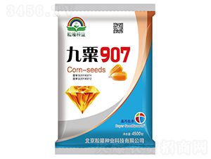 ����907-���׷N��-����¡