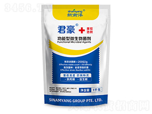 ������΢�������-����-Сħ��