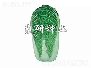 ����4̖-�ײ˷N��-���зN�I(y��)