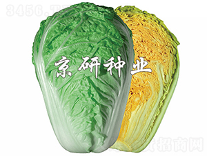 �����ۼt3̖-�ײ˷N��-���зN�I(y��)