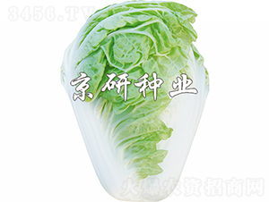 ����19-�ײ˷N��-���зN�I(y��)