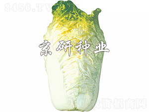 ����56̖-�ײ˷N��-���зN�I(y��)