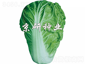 ����1̖-�ײ˷N��-���зN�I(y��)