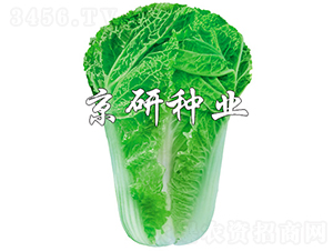 ����15-11-�ײ˷N��-���зN�I(y��)