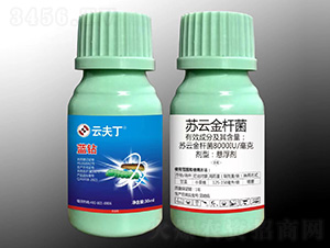 �K�ƽ�U��-�{(l��n)�@-�Ʒ�