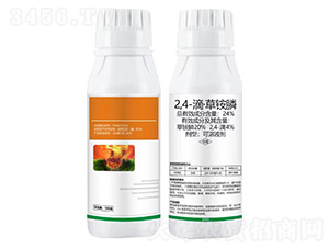 2,4-�Ρ����@�-�Z�ܼ�