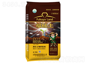 ��ʯ�����ޏ�(f��)��-���i��-���i����