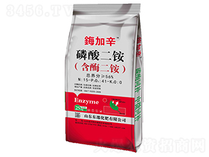 ������@����ø���@��-�Y����-�|������