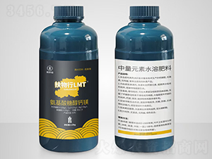 �������Ǵ��}�V-������LMT-������