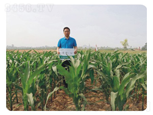 ����ʿ766-���׷N��-���S�N�I(y��)