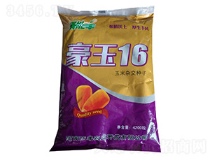 �����s���N��-����16-�͹��S