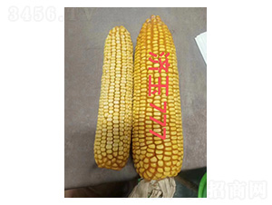 ����777���ȈD-�͹��S