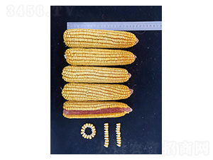 �߮a(ch��n)����-�͹��S