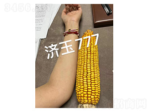 ����777���-�͹��S