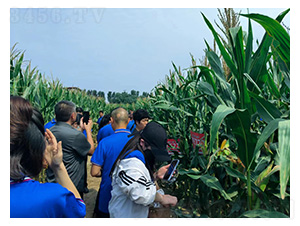 ����777�^Ħ--�͹��S