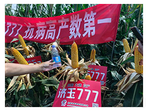 ����777-�͹��S