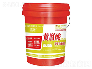 �S����΢�������-���Z-ꖹ⻯��