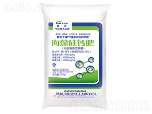 ������}��-���Z-ꖹ⻯�� 