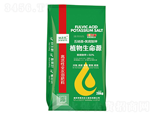 ���������S�����-������-ꖹ⻯��