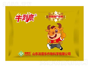 �������a(ch��n)�ײ�-ţ����-���՘�(l��)