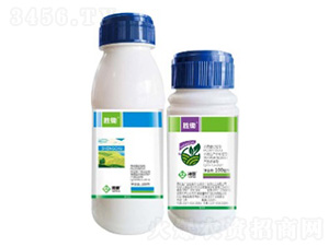 ���z-���՘�