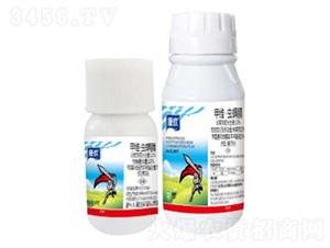 12%�׾S���x����Ҹ���-���g-���՘�