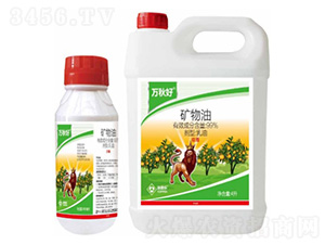 �V��������-�f���-���՘�