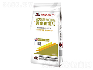 ΢�������-�ž��tţ