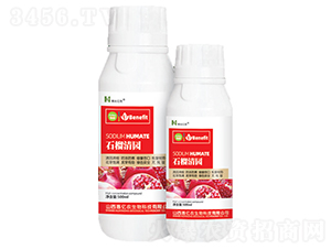 ʯ����@-�����|�r(n��ng)