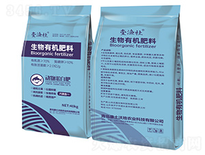 �����ЙC����-���ﵰ�׷�-Ҽ�O��-�A������