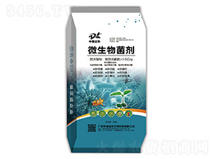 ΢�������-�е����r(n��ng)