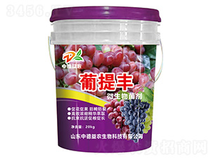 ΢�������-�����S-�е����r(n��ng)