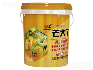 ΢�������-â����-�е����r(n��ng)