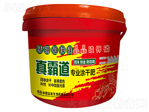 ��Ե����I(y��)Ϳ�ɷ�-�е����r