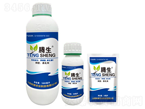 ����֬���S����E-�v��-�õ���