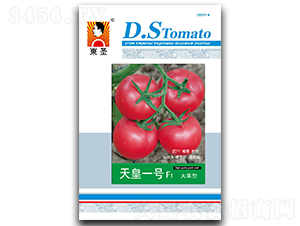 ���һ̖-���ѷN��-�|ʥ