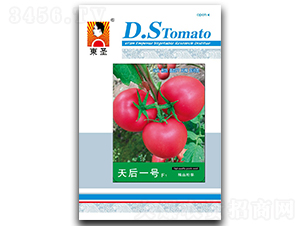 ���һ̖-���ѷN��-�|ʥ