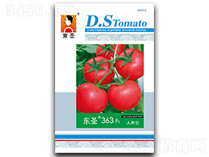 �|ʥ363-���ѷN��-�|ʥ