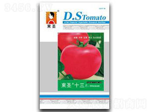 �|ʥʮ��-���ѷN��-�|ʥ