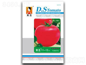 �|ʥ11-13-���ѷN��-�|ʥ